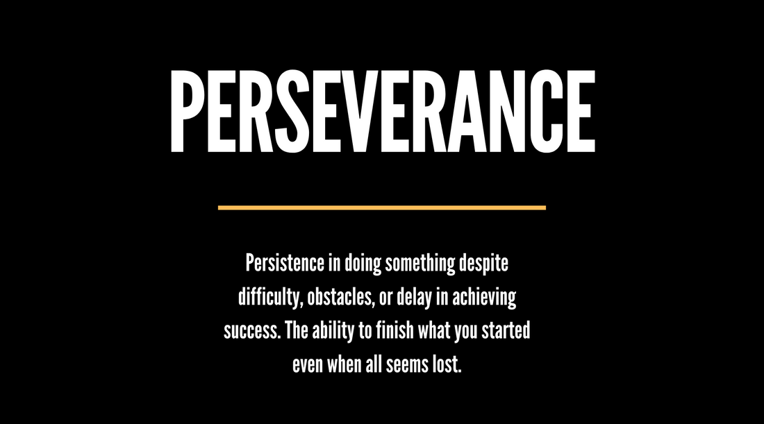 Perseverance The Mindset Journey Blog Image